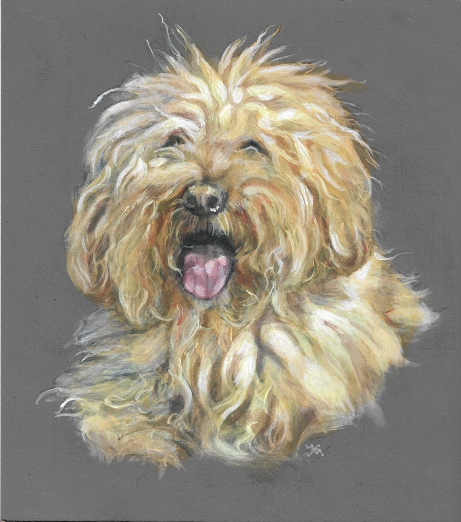 Painted portrait of a Labradoodle called Bert